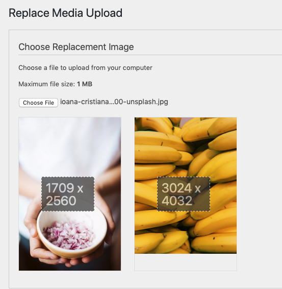 Replace Media Upload page with a replacement image uploaded